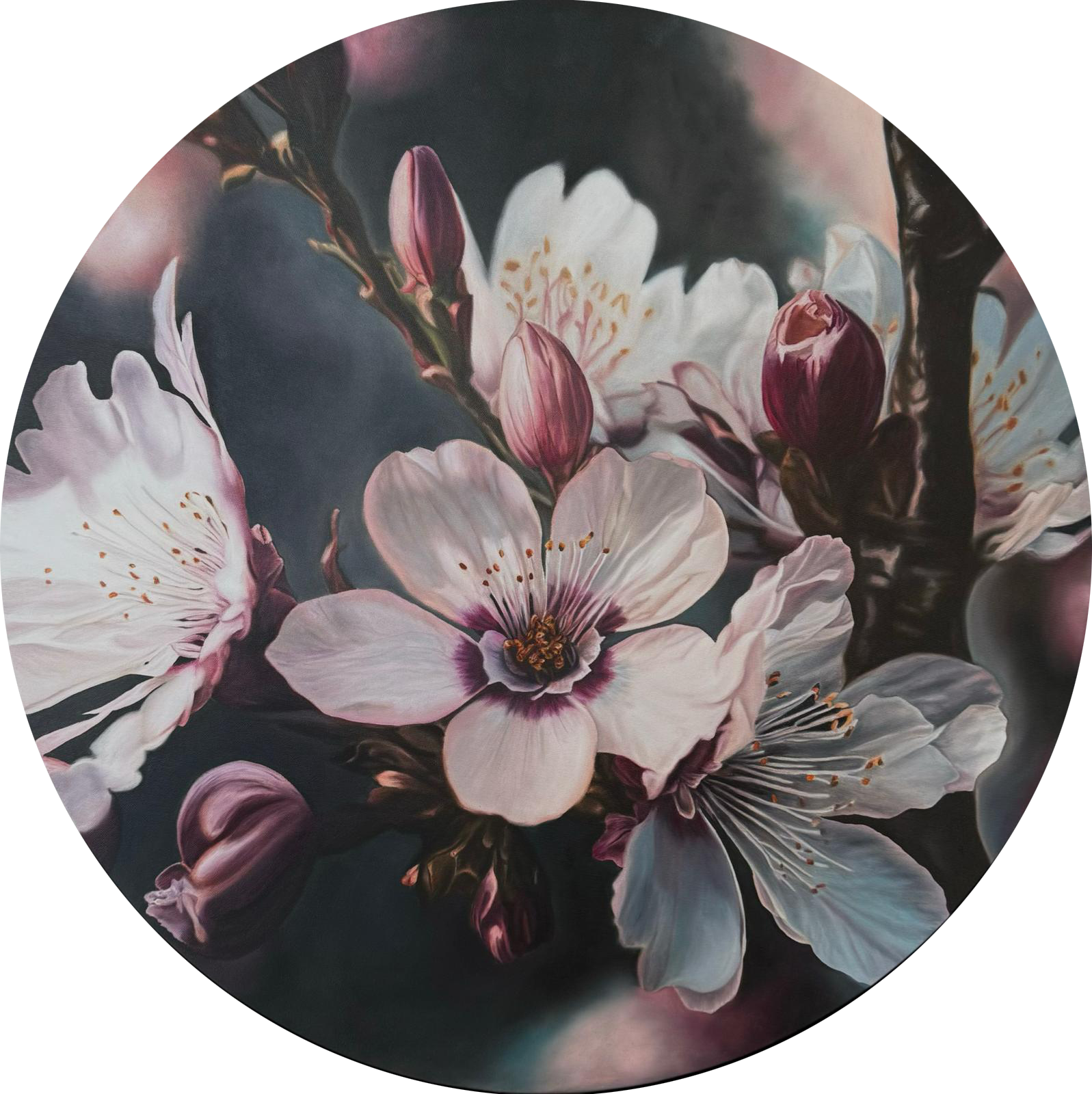 Silent Bloom