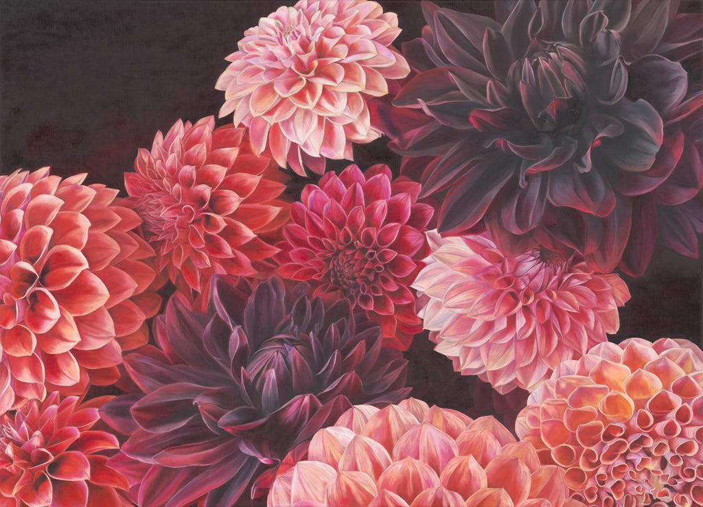 Dahlia